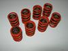 Competition valve spring set to be used with our valves ABA 1544. 110kg load.